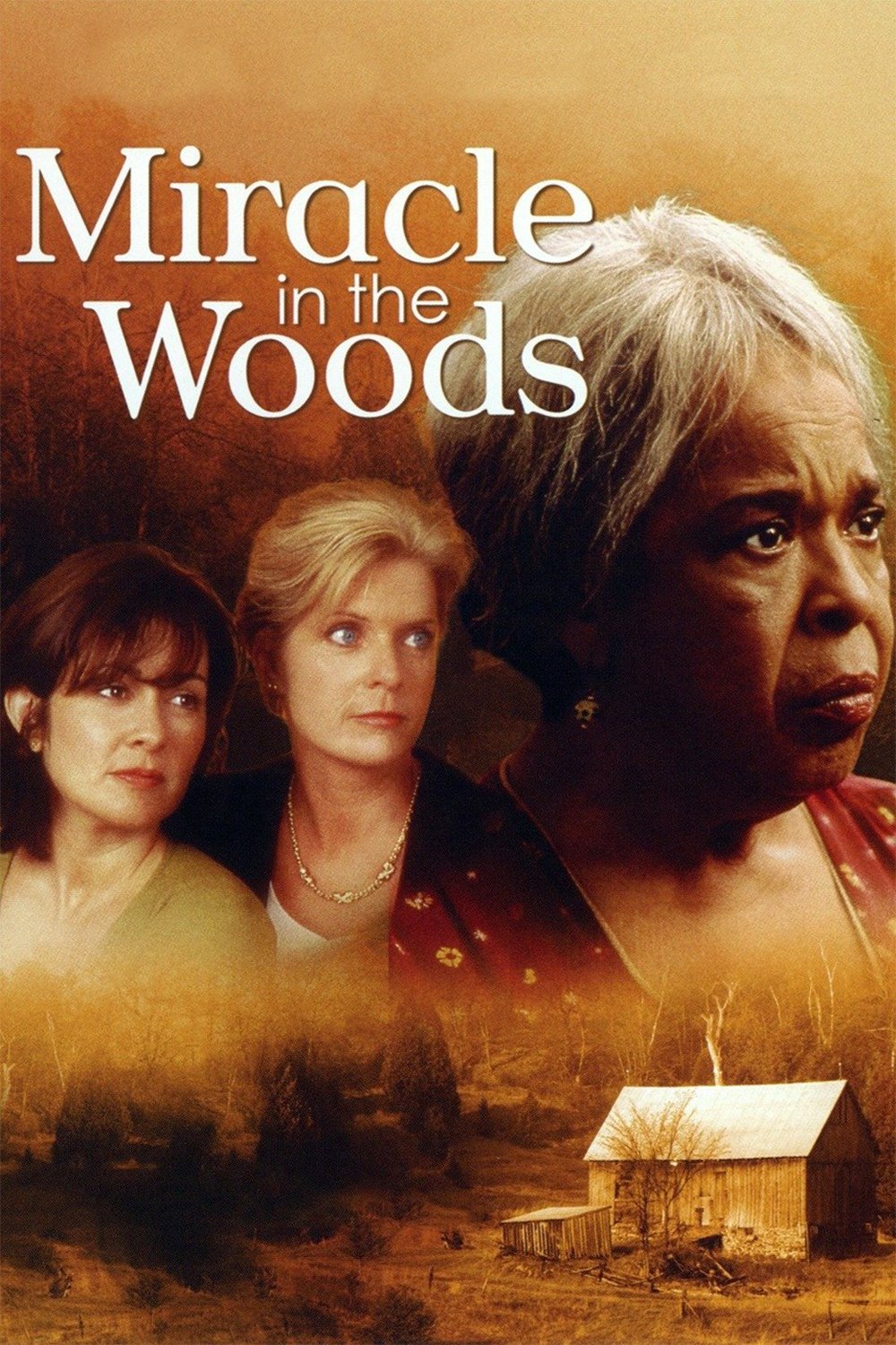 Постер Miracle in the Woods